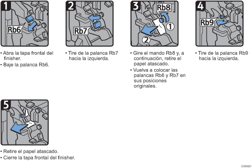 Ilustración del procedimiento