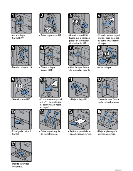 Ilustración del procedimiento
