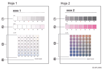 Ilustración de la hoja de corrección de gradación