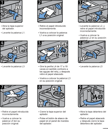 Ilustración del procedimiento