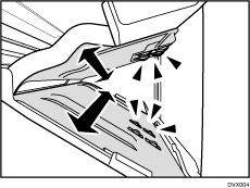 Illustrazione del finisher