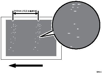 Ilustración de Medaka