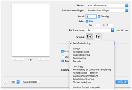 Illustrasjon av driverskjerm