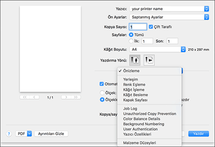 Sürücü ekranı gösterimi