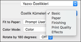 Sürücü ekranı gösterimi