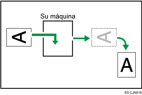 Ilustraci&oacute;n de la rotaci&oacute;n de imagen