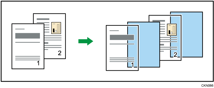 Illustration d'intercalaires
