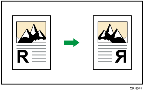 Изображение зеркального изображения
