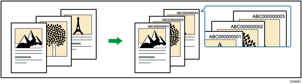 Illustrazione del testo del timbro