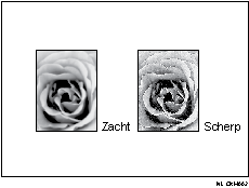 Afbeelding van Hard / Zacht
