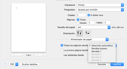 Ilustración de la pantalla del driver