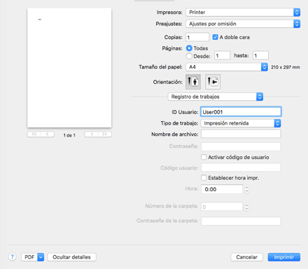 Ilustración de la pantalla del driver