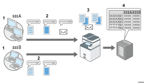 Illustration numérotée du code de classification