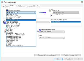 Immagine schermata driver