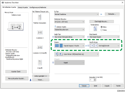 Sürücü ekranı gösterimi