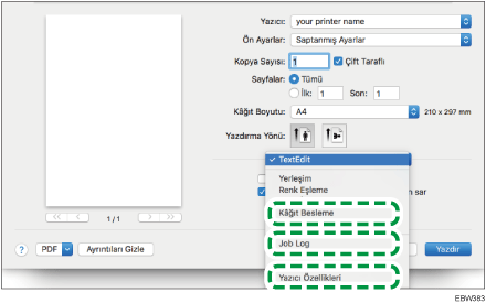 Sürücü ekranı gösterimi