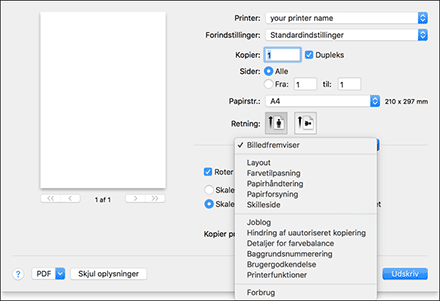 Illustration af driverskærmbillede