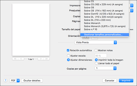 Ilustración de la pantalla del driver