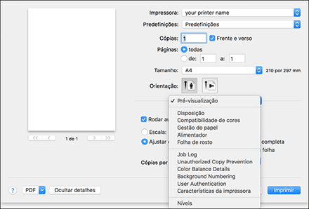 Ilustração do ecrã do driver