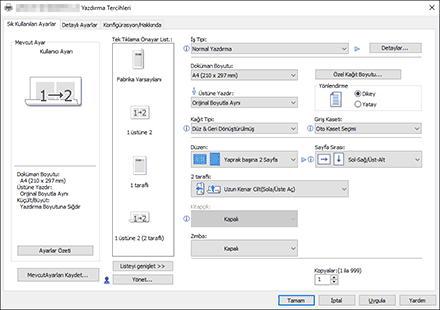 Sürücü ekranı gösterimi