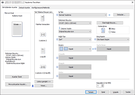 Sürücü ekranı gösterimi