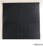 illustration of Worm Track